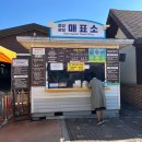 병을농장 | 안성팜랜드 전기자전거 코스 솔직후기 (핑크뮬리 황코스모스 농장 가을 데이트 여행)