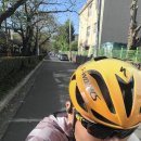 지에스25 함안칠서점 이미지