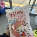 GS25 복슬이빵 출시! 딸기쿠키 크루아상 가격 맛 띠부씰 리뷰 후기