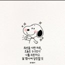 뽕구포차