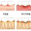 바른우리치과 이미지
