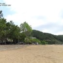 발포해수욕장 네이버블로그