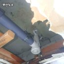 작은등샘 이미지