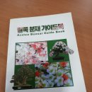 철쭉분재,BONSAI교재[철쭉분재가이드북] 이미지