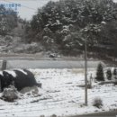 마지2리 마을회관 이미지