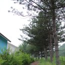 용늪펜션 이미지