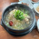 244-운정3-244 | 파주 삼계탕 삽다리초가집 운정 점심 맛집 후기 주차 능이백숙 오리로스 로컬식당