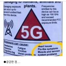 [일반] 5G와 까치들의 기이한 행동 이미지