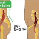 체인지바디라인