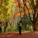 만추 - 여수시 | 만추