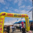 해뜨는유치원 | 내돈내산 2025 서천 자연산 광어도미축제 후기｜7살 아들이 6kg 대광어를 맨손으로?!