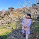 일산해수욕장8(수산물판매센터근처) | 2026 광양매화축제 입장료 얼마? 상품권 환급 사용처 및 구매 팁