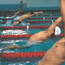 동부스포츠센터 수영장 이미지