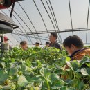 최종명 농장 이미지