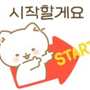 브라비 펫케어 이미지