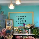 살롱드마카롱&플라워 이미지
