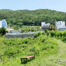 윤돌커피 이미지