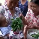 유카리스 이미지