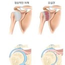 운동백서PT 이미지