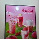 메가엠지씨커피 고덕금호어울림점 | 봄메뉴같은 메가커피 신메뉴 매지컬 델리베리 딸기 젤라또 샤베트 후기