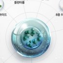 썬-바이오 - 남동구 구월로276번길 17 | 썬-바이오