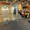 (주)더메디어트 | 부천상동 헬스장 '근육 제테크' 물리치료사 PT 받는 이유 3주차