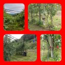 광우농장 이미지