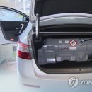 엘피지카 이미지