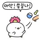 컴퍼니닥터
