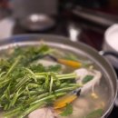 생연초교사거리(교통삼) | 강남복어 맛집 가성비 보양식 수림복국 선릉삼성본점