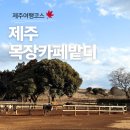 스크린승마(주) | 제주 목장카페 밭디 27개월 아기와가볼만한곳 승마가능