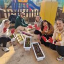 봉명초등학교 이미지