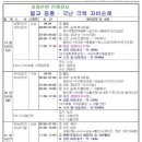 대승마야투어