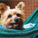 우리 함께 살기 위하여 이미지