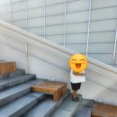 카페 보브르 이미지