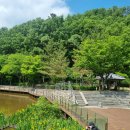 운암지 체육공원 | 산불 입산금지가 해제된 오늘, 함지산 하이킹 클럽에서 구입한 단체 티셔츠를 입고서
