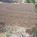 제주도성산공인중개사사무소 이미지