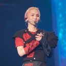 후키랜드 이미지