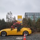 안양판교로828번길 | 판교 운중동 ‘헬로오드리’에서 하루가 천천히 녹아내린 날ㅡ정원뷰+디저트+쌍화차까지 완벽 코스,판교...