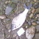 왕숙천 자전거도로19 이미지