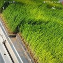 당근PC방 이미지