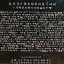 봉비지 Daum카페
