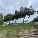 완도해금펜션 이미지