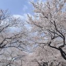 삼남읍주민자치센터 이미지