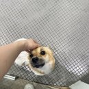 마미인력 이미지