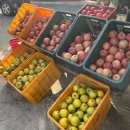 365민박 | 마을 외나무다리 | 영주 365시장 | 선비세상 | 부석사...네이버 패키지 - 로망스투어 후기, 지원금여행