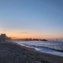 (주)차차미 이미지