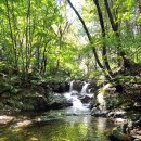 소백산 자락길 | [소백산] 황홀한 여명과 일출, 그리고 가을빛 풍경을 담다