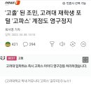 [정치]'고졸' 된 조민, 고려대 재학생 포털 '고파스' 계정도 영구정지 이미지