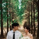 하루필름당진 | 천안 야외스냅 촬영 후기 | 가을웨딩스냅으로 담은 당진 들판과 태안바다웨딩스냅